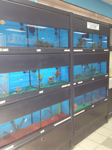 Pet Supply Store «Pet Supplies Plus», reviews and photos, 3110 W Silver Lake Rd, Fenton, MI 48430, USA