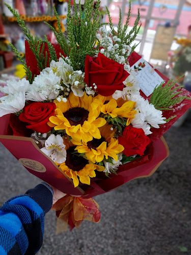 Opiniones de 🍃LA CASA DE LAS FLORES💐 en San Fernando - Tienda