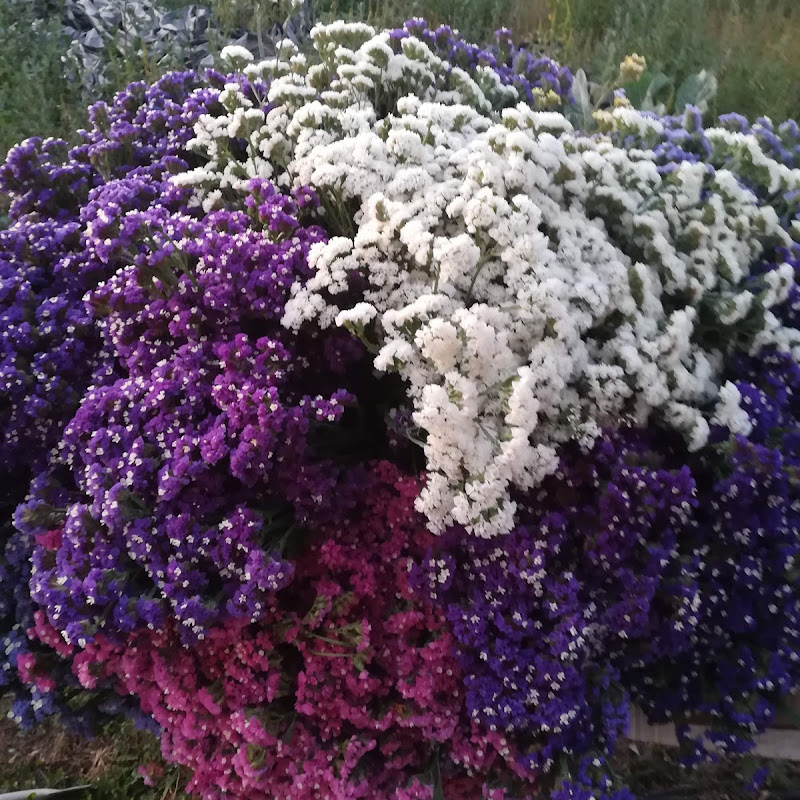 5 image