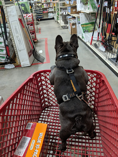 Home Improvement Store «Tractor Supply Co.», reviews and photos, 378 Elmira Rd, Ithaca, NY 14850, USA