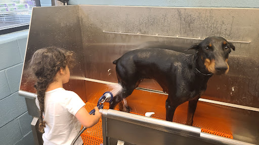 Pet Store «Feeders Supply», reviews and photos, 4921 Dixie Hwy a, Louisville, KY 40216, USA