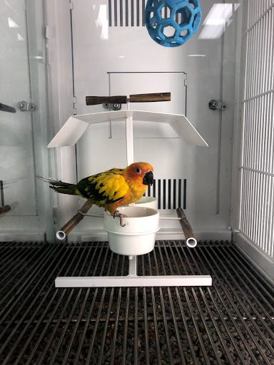 Pet Supply Store «Petco Animal Supplies», reviews and photos, 13311 20th Ave, College Point, NY 11356, USA