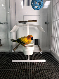 Petco - Photo 7 - Car repair in College Point, NY, New York