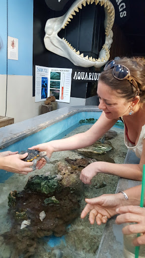 Aquarium «Aquarium Tarpon Springs», reviews and photos, 850 Dodecanese Blvd, Tarpon Springs, FL 34689, USA