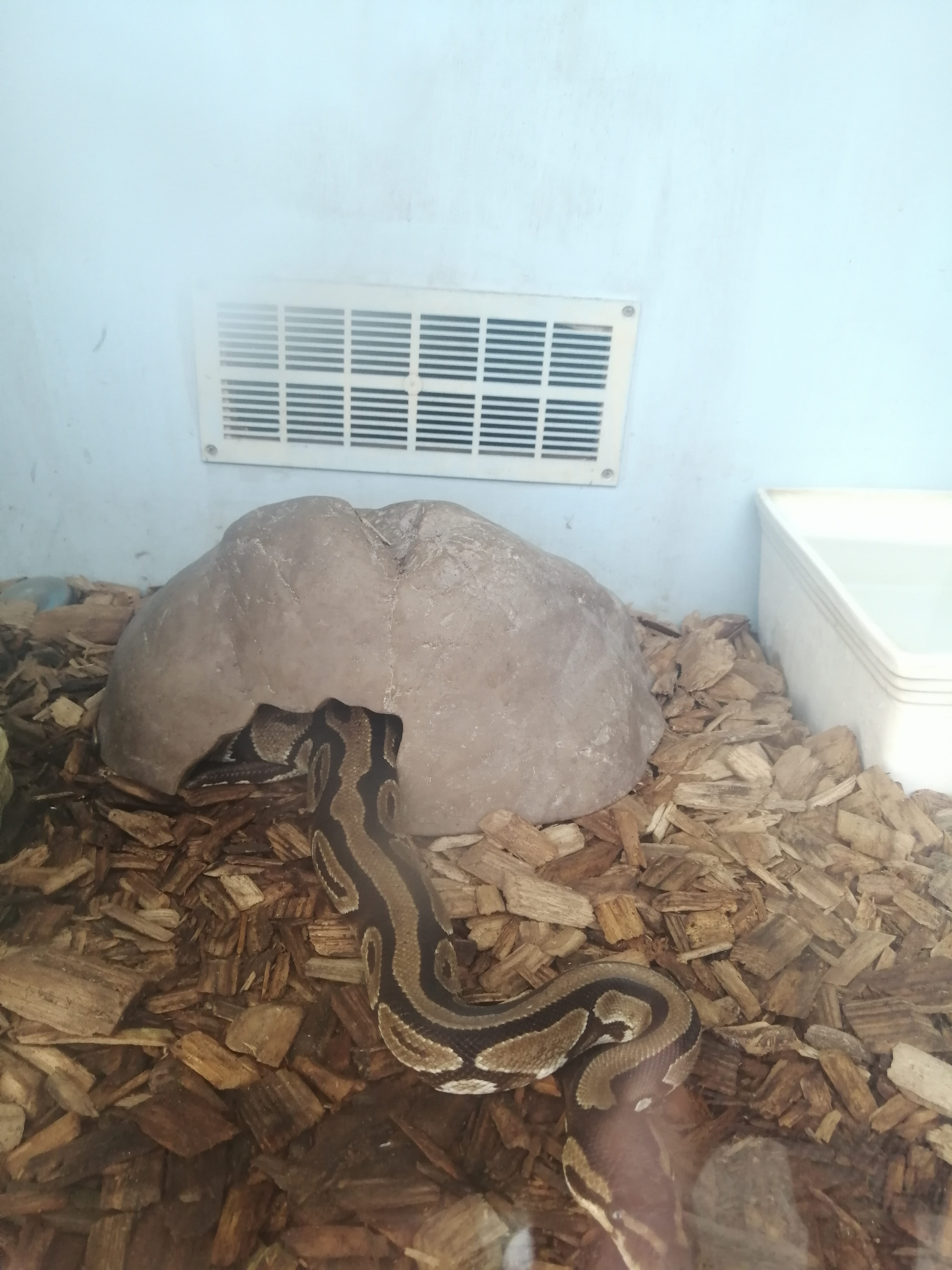 Photo n° 1 de l'avis de remy.e fait le 25/10/2019 à 16:38