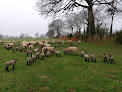 Agneaux du Bocage Cérences