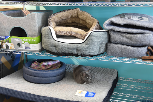 Pet Supply Store «Animal House Pet Supplies», reviews and photos, 733 Phillips Blvd, Sauk City, WI 53583, USA