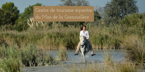 attractions Centre de Tourisme Equestre la Grenouillère Saintes-Maries-de-la-Mer