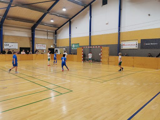 Alhede-Hallerne in Viborg, Viborg