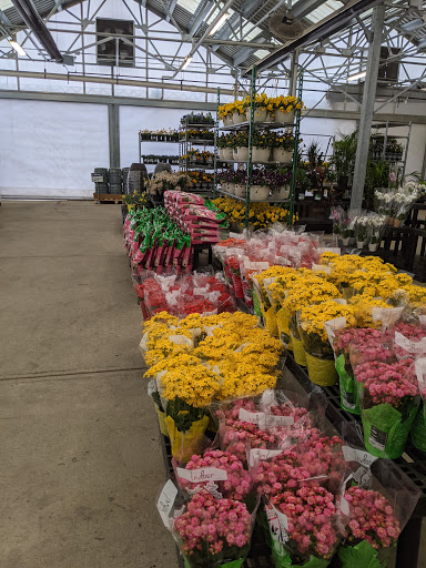 Department Store «Walmart Supercenter», reviews and photos, 33 Sherwood Dr, Tilton, NH 03276, USA