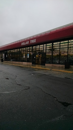 Dollar Store «Dollar Tree», reviews and photos, 24 Portland Ave, Bergenfield, NJ 07621, USA