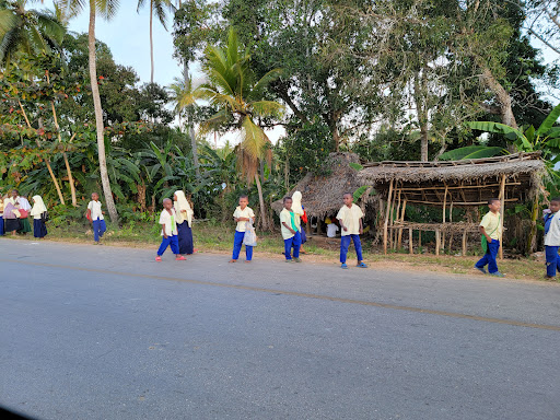 Travel Agency «Mike One Travel», reviews and photos, Pipher Rd, Bushkill, PA 18324, USA