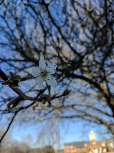 Family Law Attorney «Daniels & Taylor, P.C.», reviews and photos