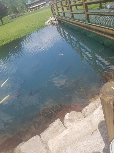 Resort «Smoke Hole Caverns», reviews and photos, 8290 N Fork Hwy, Cabins, WV 26855, USA