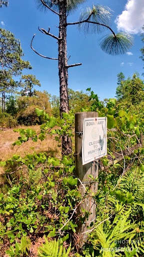 Nature Preserve «Conner Preserve», reviews and photos, 22500 FL-52, Land O Lakes, FL 34637, USA