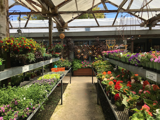 Orchid grower Berkeley