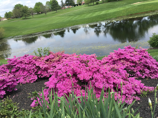 Golf Course «Boone Links Golf Course», reviews and photos, 19 Clubhouse Dr, Florence, KY 41042, USA