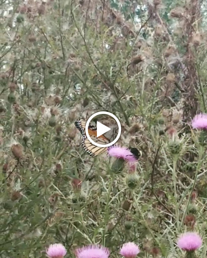 Nature Preserve «Governor Bridge Natural Area», reviews and photos, 7600 Governor Bridge Rd, Bowie, MD 20716, USA