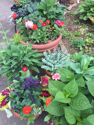 Florist «NORTH POINT Florist», reviews and photos, 8465 Holcomb Bridge Rd, Alpharetta, GA 30022, USA