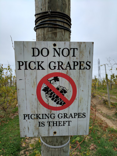 Winery «Round Barn Winery, Distillery & Brewery», reviews and photos, 10983 Hills Rd, Baroda, MI 49101, USA