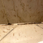 Photo n°14 de l'avis de Iryna.r fait le 18/09/2021 à 15:21 sur le  DC Hotel International à Padua