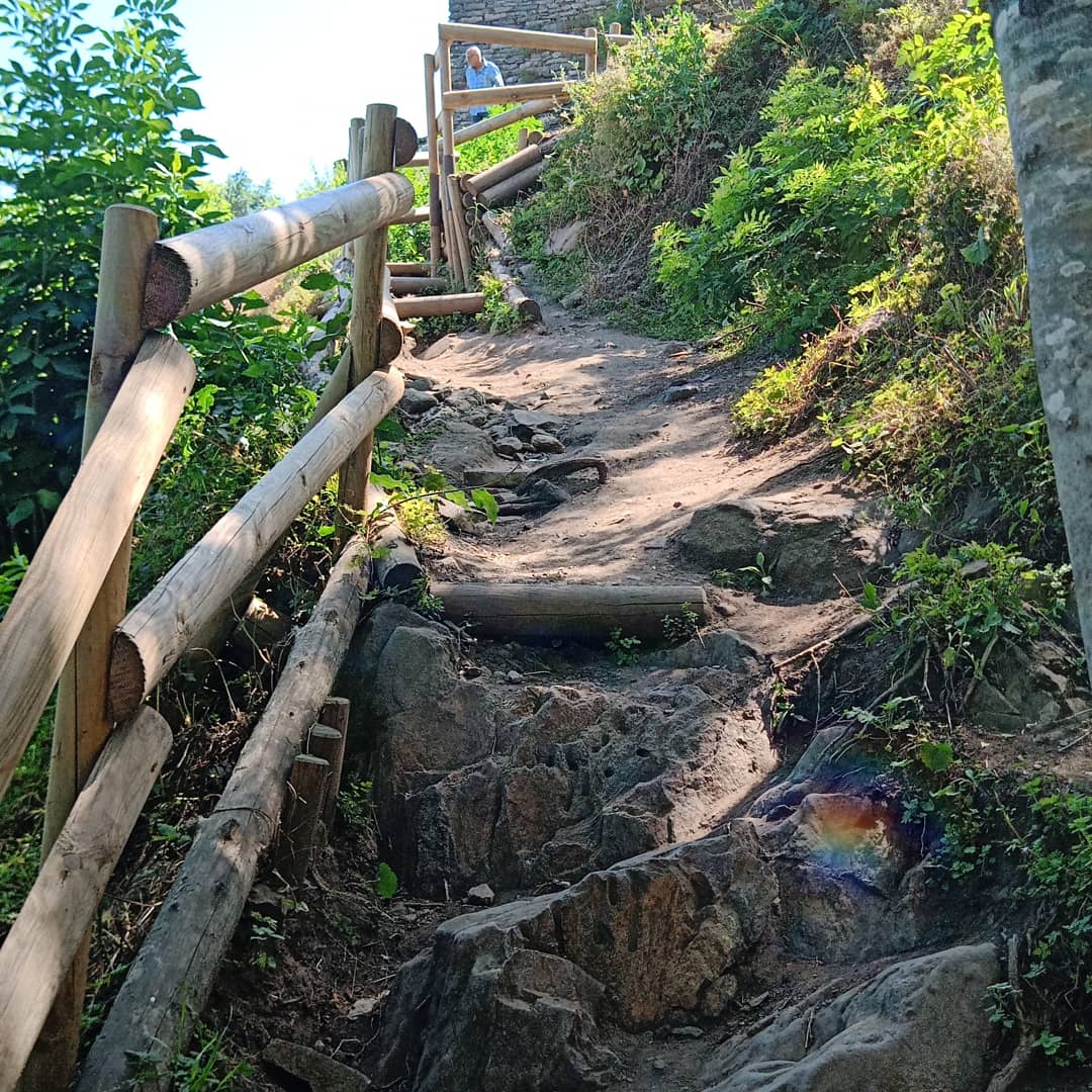 Photo n° 8 de l'avis de Sgt-Nash.1 fait le 15/07/2019 à 18:00