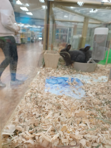 Pet Supply Store «Pet Supermarket», reviews and photos, 3821 S Cobb Dr, Smyrna, GA 30080, USA