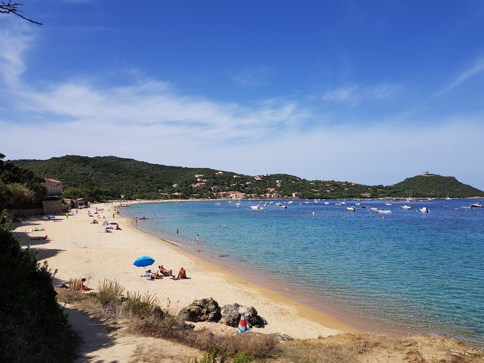 Zdjęcie Plaża Campomoro z powierzchnią beżowy piasek