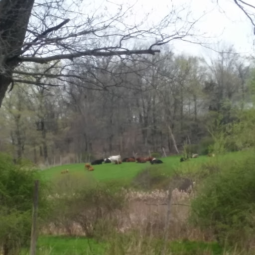 Thrift Store «Goodwill», reviews and photos, 1145 N Colony Rd, Wallingford, CT 06492, USA