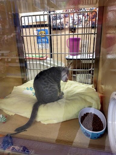 Pet Supply Store «PetSmart», reviews and photos, 2391 NJ-66, Ocean Township, NJ 07712, USA