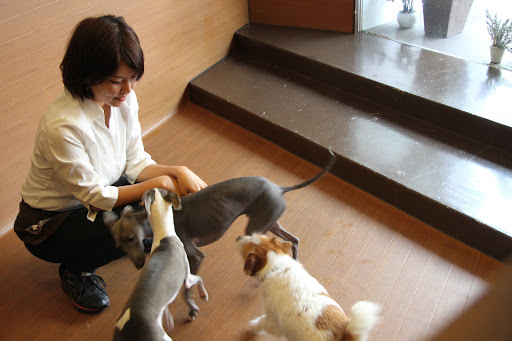 Animal hotels Tokyo
