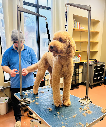 Gone to the Dogs Salon