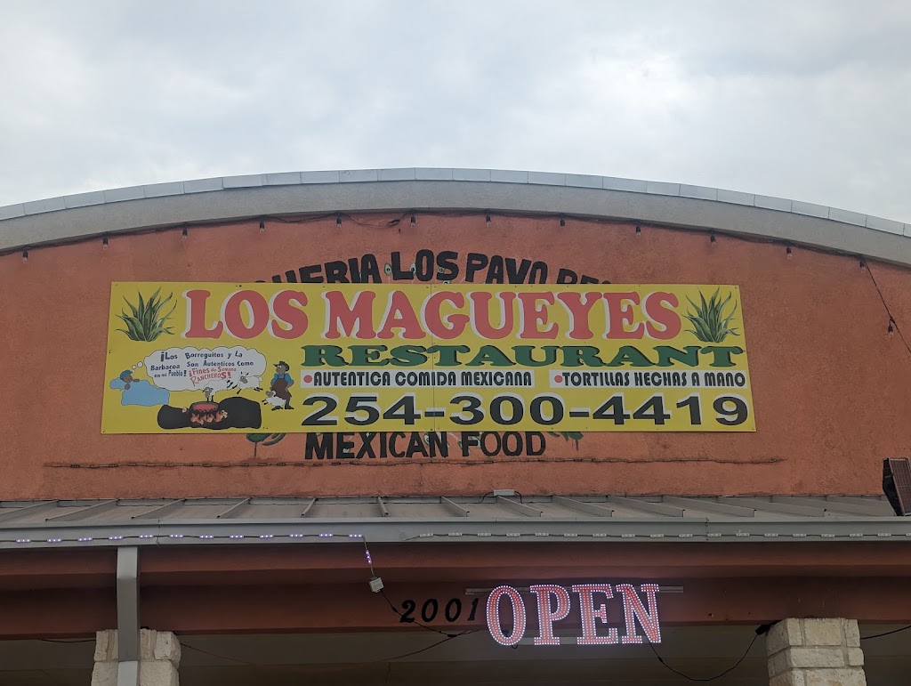Los Magueyes Restaurant 76705
