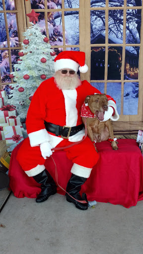 Pet Store «Unleashed, The Dog & Cat Store», reviews and photos, 2066 Kildaire Farm Rd, Cary, NC 27518, USA