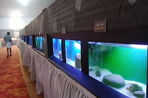 Akash Aquarium image