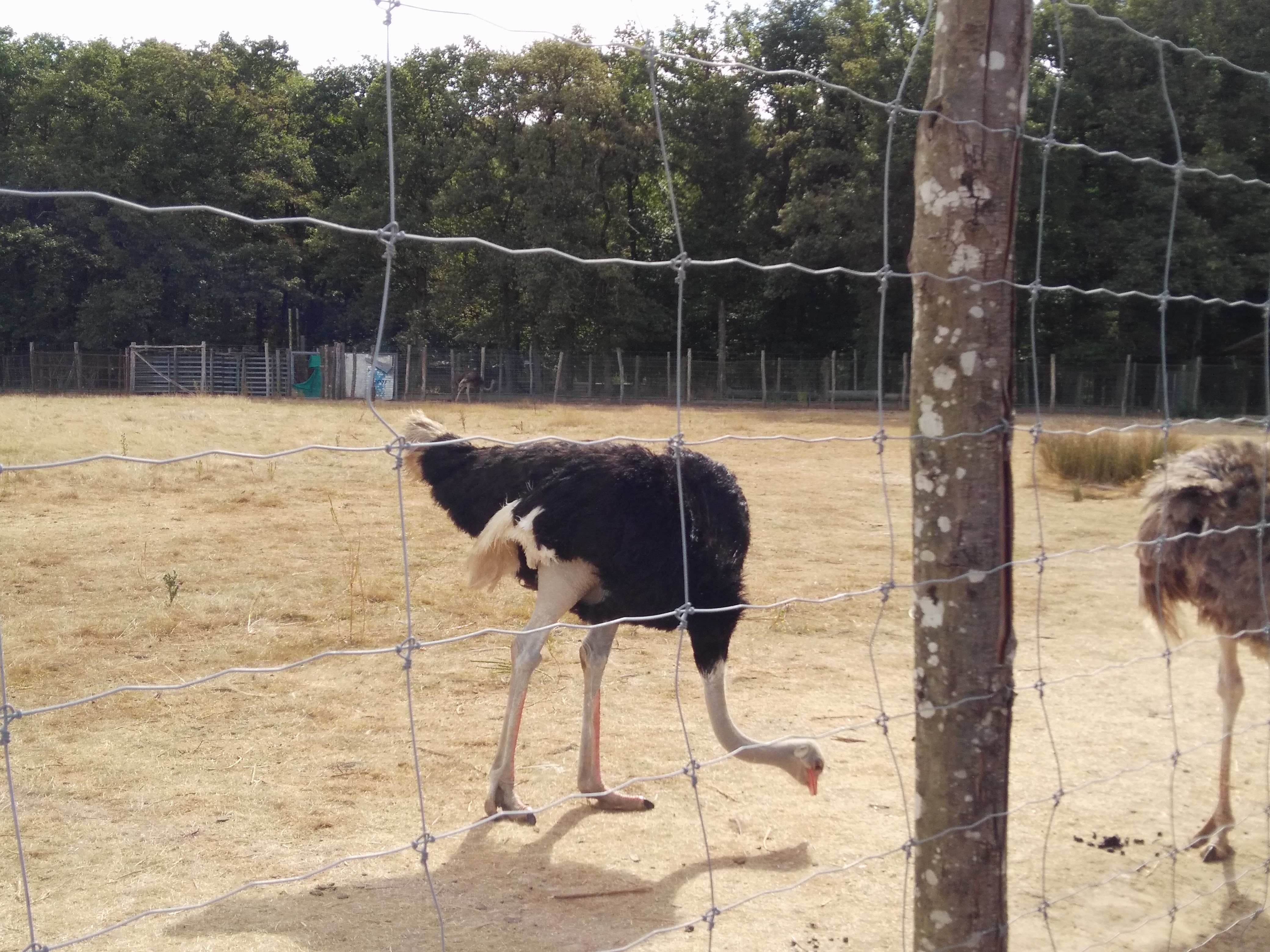 Photo n° 7 de l'avis de Steph.P fait le 23/08/2016 à 10:59