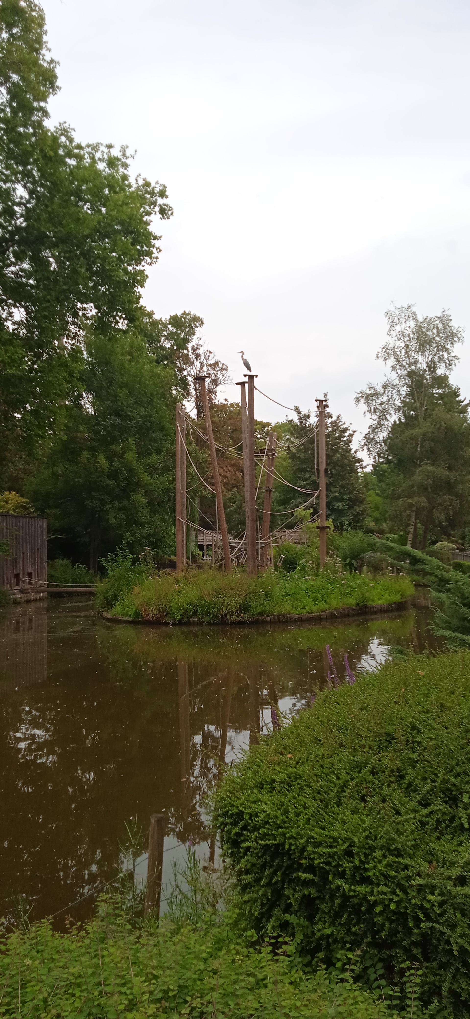 Photo n° 2 de l'avis de Dahomay.i fait le 30/07/2022 à 14:52