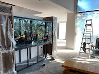 Fish Whisper - Photo 3 - Car repair in Austin, TX, Austin