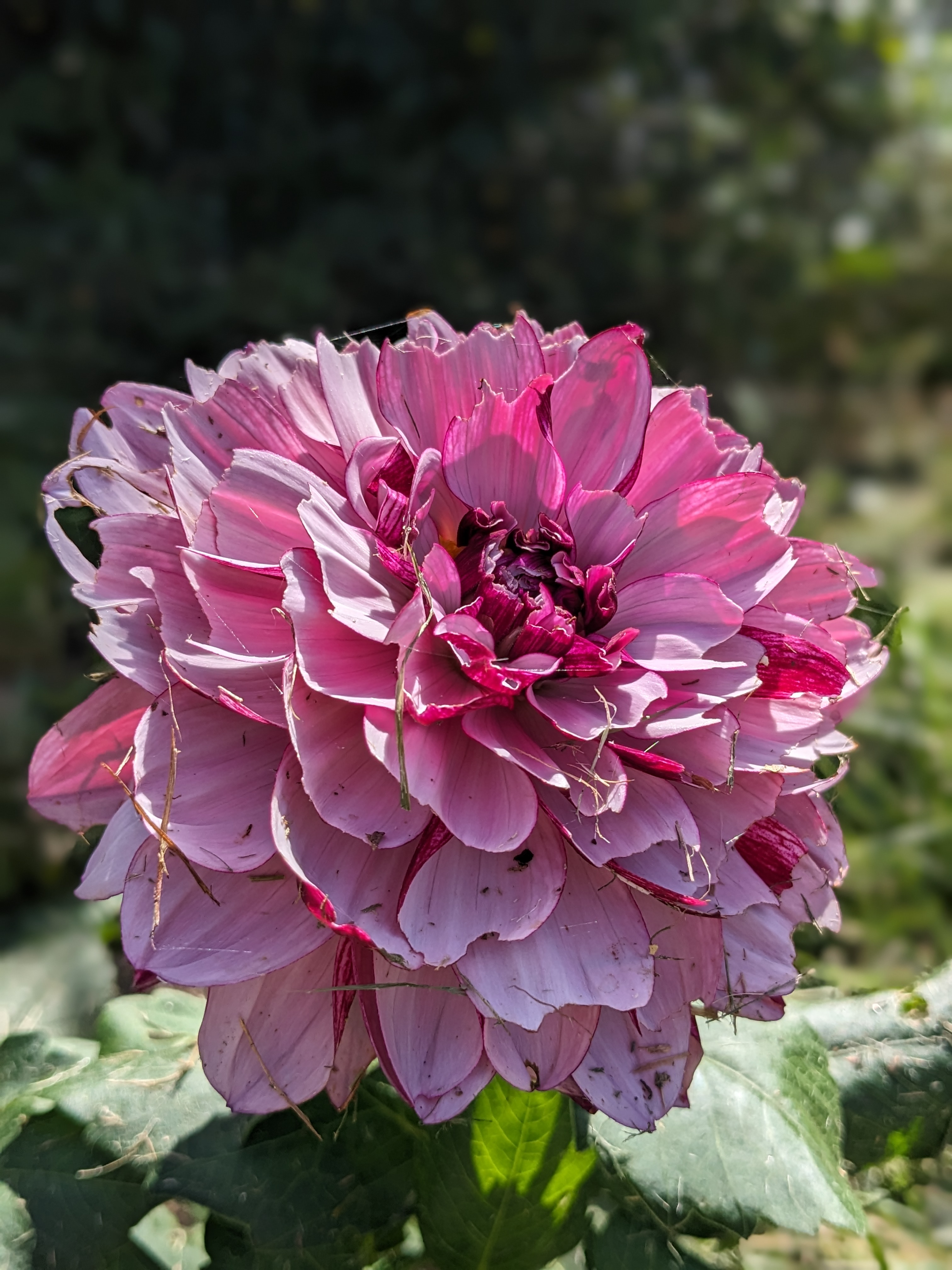 Photo n° 8 de l'avis de Antonin.e fait le 03/11/2023 à 13:01