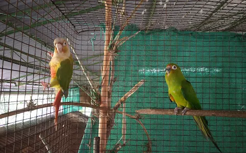 Saras exotic bird farm image