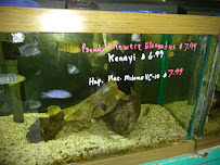 Causeway Pets - Photo 5 - Car repair in Metairie, LA, Metairie