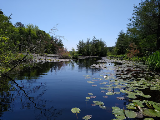 Park «Malaga Lake Park», reviews and photos, 445 Malaga Park Dr, Malaga, NJ 08328, USA