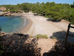 Photo de Cala Estany Podrit avec un niveau de propreté de sale