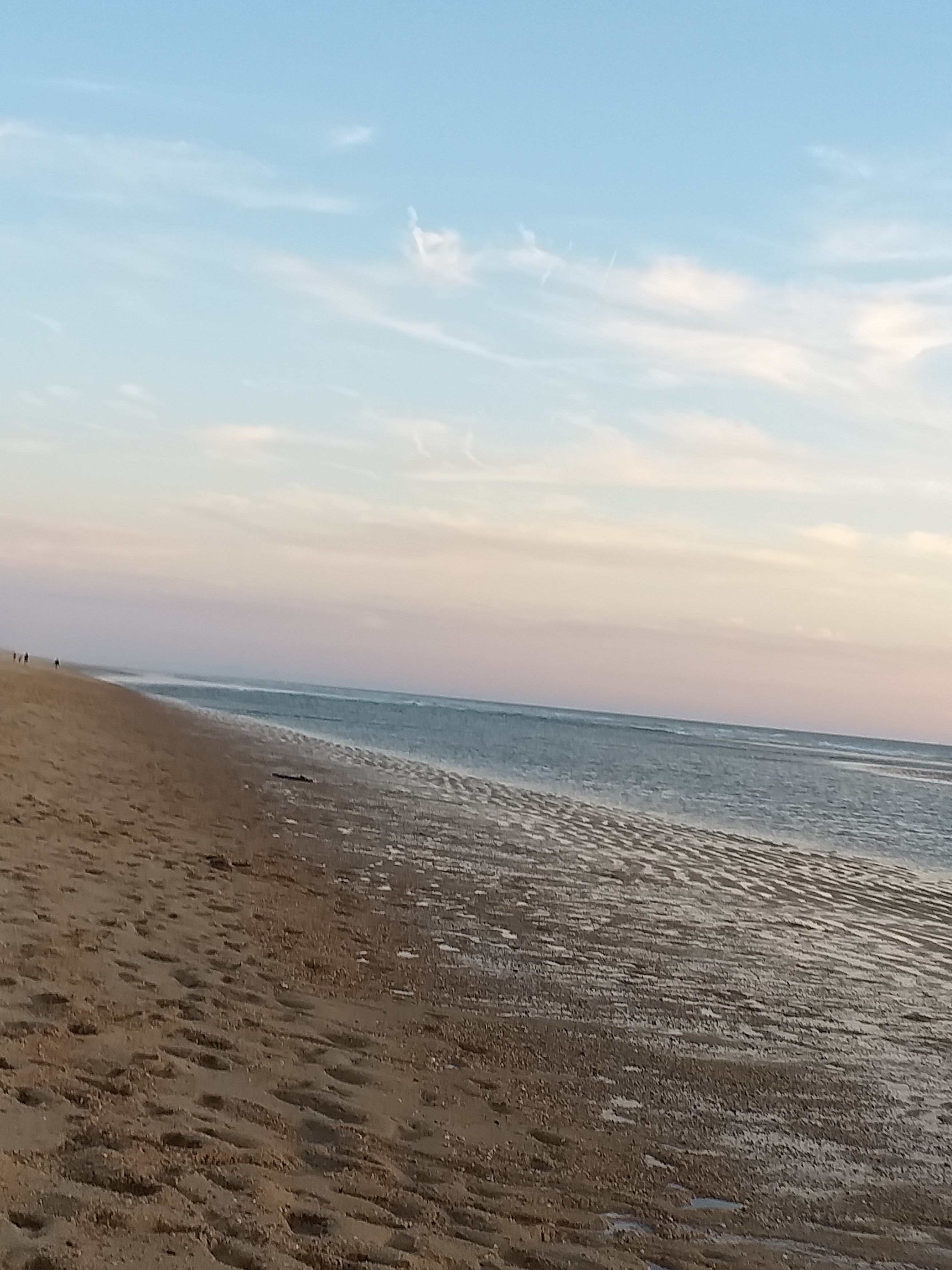 Photo n° 8 de l'avis de Chris.h fait le 14/08/2019 à 14:38