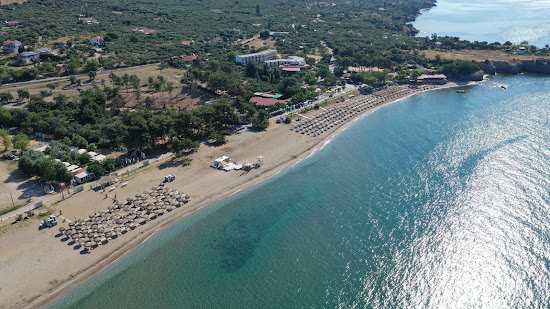 Yolo's beach II