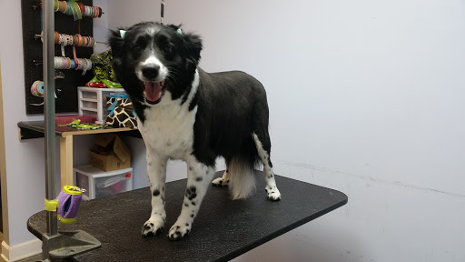 Pet Groomer «Barking Beauties pet Boutique», reviews and photos, 112 E 2nd St S, Newton, IA 50208, USA