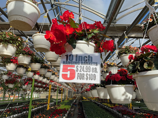 Florist «Dutch & Olgas Greenhouse», reviews and photos, 1285 NJ-36, Hazlet, NJ 07730, USA