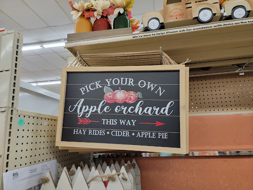 Discount Store «Big Lots», reviews and photos, 924 N Main St, Suffolk, VA 23434, USA