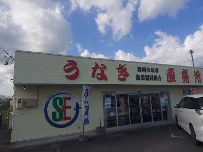 静岡うなぎ漁業協同組合 吉田売店