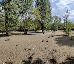 Hundeplatz Rummelsburg photo